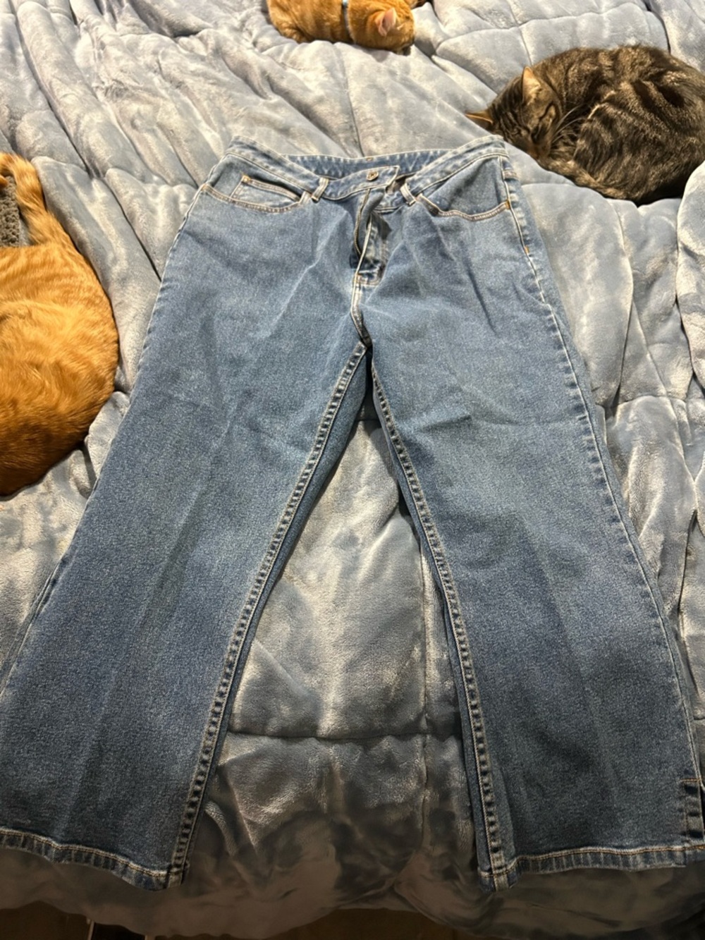 Classiques Entier Light Blue Flare Jeans